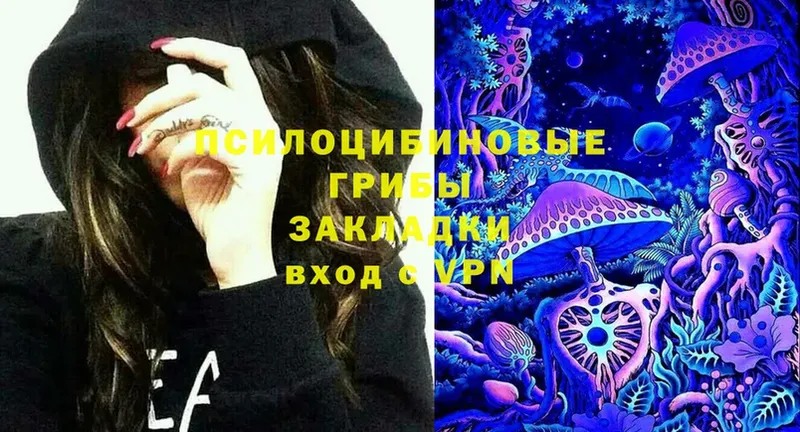 Галлюциногенные грибы мухоморы  Елец 